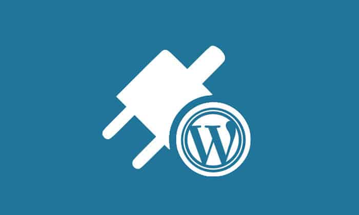 wordpress theme and plugin