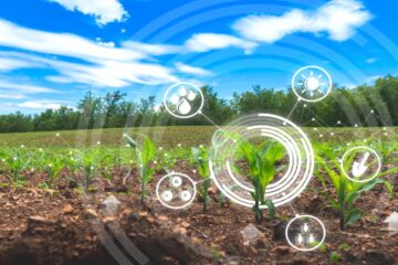 Smart Farming: How EOSDA Crop Monitoring Transforms Yield