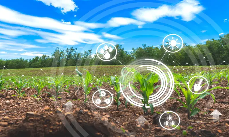 Smart Farming: How EOSDA Crop Monitoring Transforms Yield